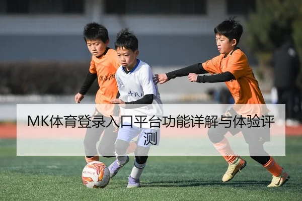 MK体育登录入口平台功能详解与体验评测