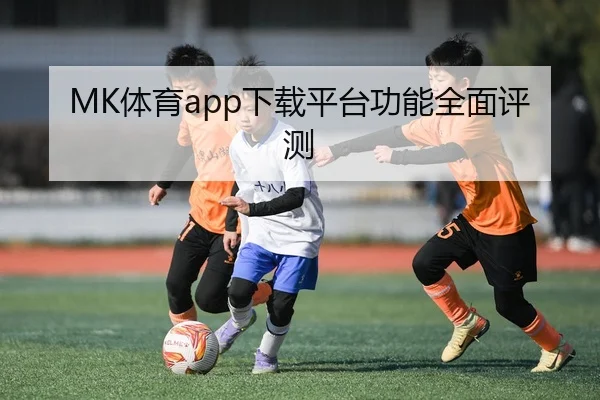 MK体育app下载平台功能全面评测