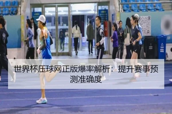 世界杯压球网正版爆率解析：提升赛事预测准确度