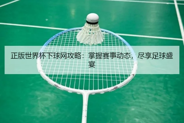 正版世界杯下球网攻略：掌握赛事动态，尽享足球盛宴